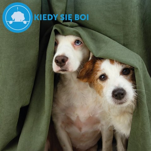 Ceva Animal Health Polska Sp. Z O.o. Adaptil Wkład Dyfuzora 48ml Ceva Animal Health Polska Sp. Z O.o. Adaptil Wkład Dyfuzora 48ml