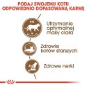 ROYAL CANIN Ageing Sterilised +12 400g