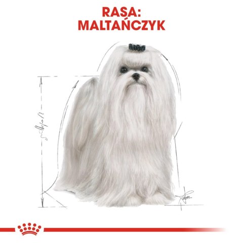 ROYAL CANIN Maltese Adult 500g ROYAL CANIN Maltese Adult 500g