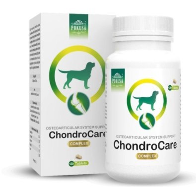 POKUSA ChondroLine ChondroCare 120 tab. POKUSA ChondroLine ChondroCare 120 tab.