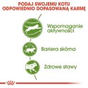 ROYAL CANIN Outdoor 10kg