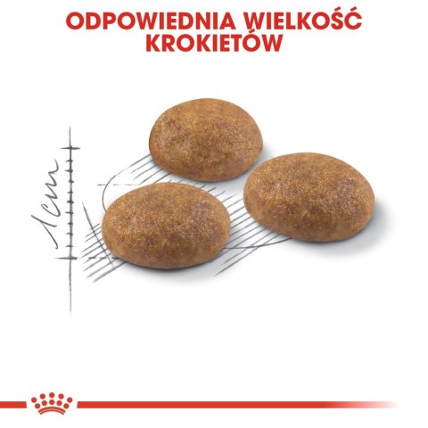 ROYAL CANIN Outdoor 10kg ROYAL CANIN Outdoor 10kg