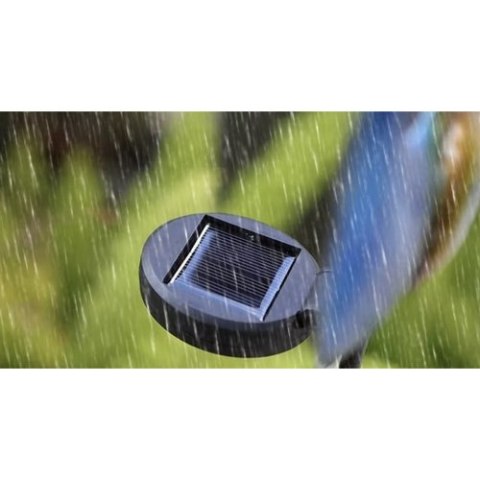 Lampa solarna paw Gardlov 25281 Lampa solarna paw Gardlov 25281