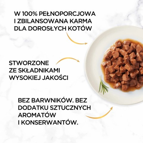 Purina Gourmet Gold łosoś/ kurczak w sosie 85g Purina Gourmet Gold łosoś/ kurczak w sosie 85g