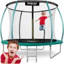TRAMPOLINA OGRODOWA 10FT/312ĆM Z SIATKĄ, PROFILOWANYMI SŁUPKAMI I DRABINKĄ