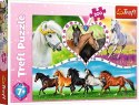 Puzzle 200 elementów - piękne konie