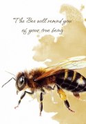 Karty tarot power animal cards