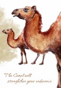 Karty tarot power animal cards