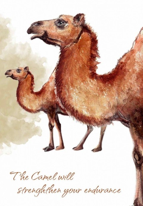 Karty tarot power animal cards Karty tarot power animal cards