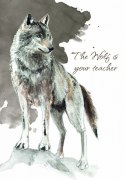 Karty tarot power animal cards
