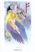 Karty tarot rune vision cards gb