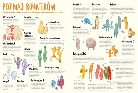 Książeczka przekroje owoce i warzywa Książeczka przekroje owoce i warzywa