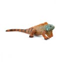 Figurka legwan wild life