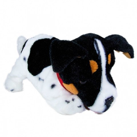 Maskotka interaktywna figo pies reagujący na komendy jack russel terrier Maskotka interaktywna figo pies reagujący na komendy jack russel terrier