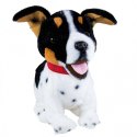 Maskotka interaktywna figo pies reagujący na komendy jack russel terrier