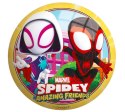 Piłka winylowa 23 cm spiderman