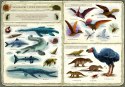 Książeczka opowiem ci, mamo, co robią dinozaury