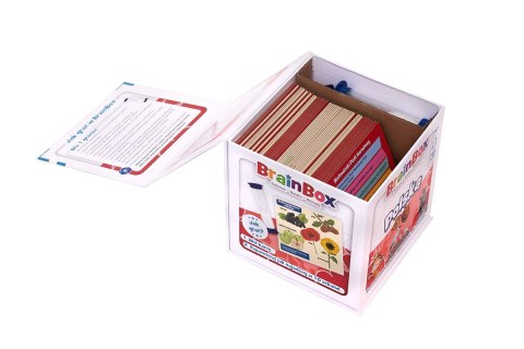 Gra brainbox - polska (druga edycja)