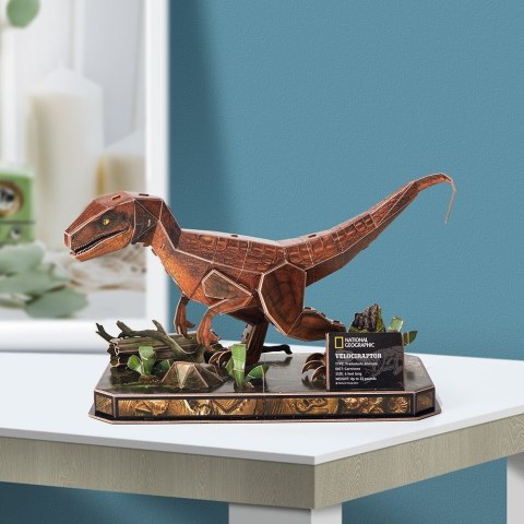 Puzzle 3d national geographic - welociraptor Puzzle 3d national geographic - welociraptor