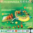 Gra fotosynteza