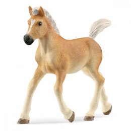 Figurka źrebak rasy haflinger