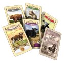 Gra great western trail: argentyna