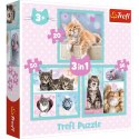Puzzle 3w1 słodkie zwierzaki kotki