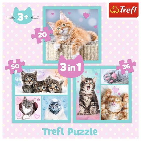 Puzzle 3w1 słodkie zwierzaki kotki Puzzle 3w1 słodkie zwierzaki kotki