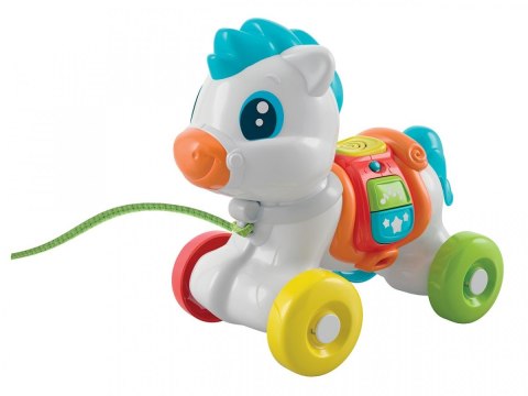 Baby kucyk zawsze z tobą Baby kucyk zawsze z tobą
