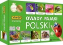 Gra owady i pająki polski memory