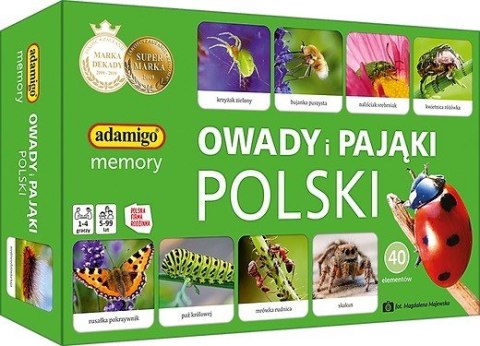 Gra owady i pająki polski memory Gra owady i pająki polski memory