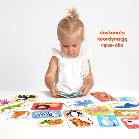 Puzzle do pary - dzikie zwierzęta Puzzle do pary - dzikie zwierzęta