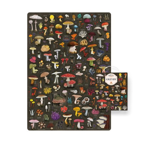 Puzzle puzzlove grzyby 1000 elementów Puzzle puzzlove grzyby 1000 elementów