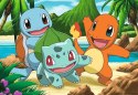 Puzzle 2x24 elementy pokemon
