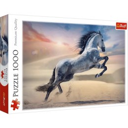 Puzzle 1000 elementów majestatyczny koń