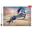 Puzzle 1000 elementów majestatyczny koń