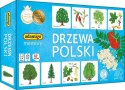 Gra memory - drzewa polski