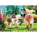Puzzle 1000 elementów premium plus tea time nadchodzą kłopoty!
