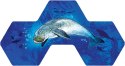 Gra aqua (edycja polska)
