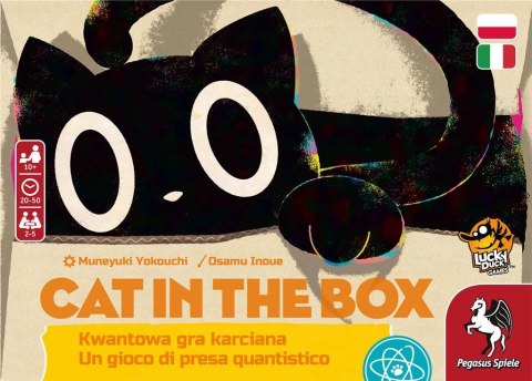 Gra cat in the box Gra cat in the box