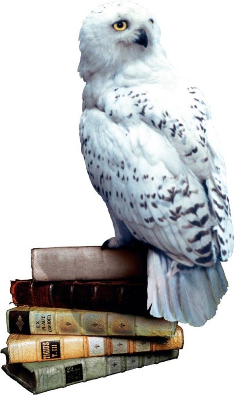 Gra harry potter i czytacz myśli Gra harry potter i czytacz myśli