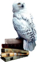 Gra harry potter i czytacz myśli