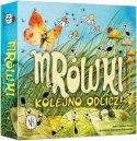 Gra mrówki - kolejno odlicz!