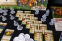 Dodatek zombicide czarna plaga: npc 2