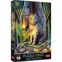 Puzzle 1000 elementów premium księga cieni lisa parker