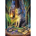 Puzzle 1000 elementów premium księga cieni lisa parker