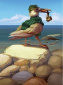 Gra everdell: dalekobrzeg