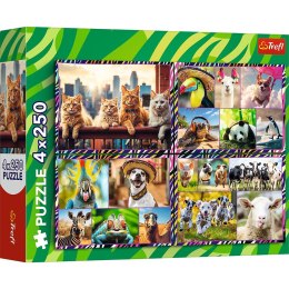 Puzzle 4x250 elementów zabawne zwierzaki