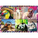 Puzzle 4x250 elementów zabawne zwierzaki