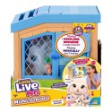 Zestaw little live pets mama surprise króliki